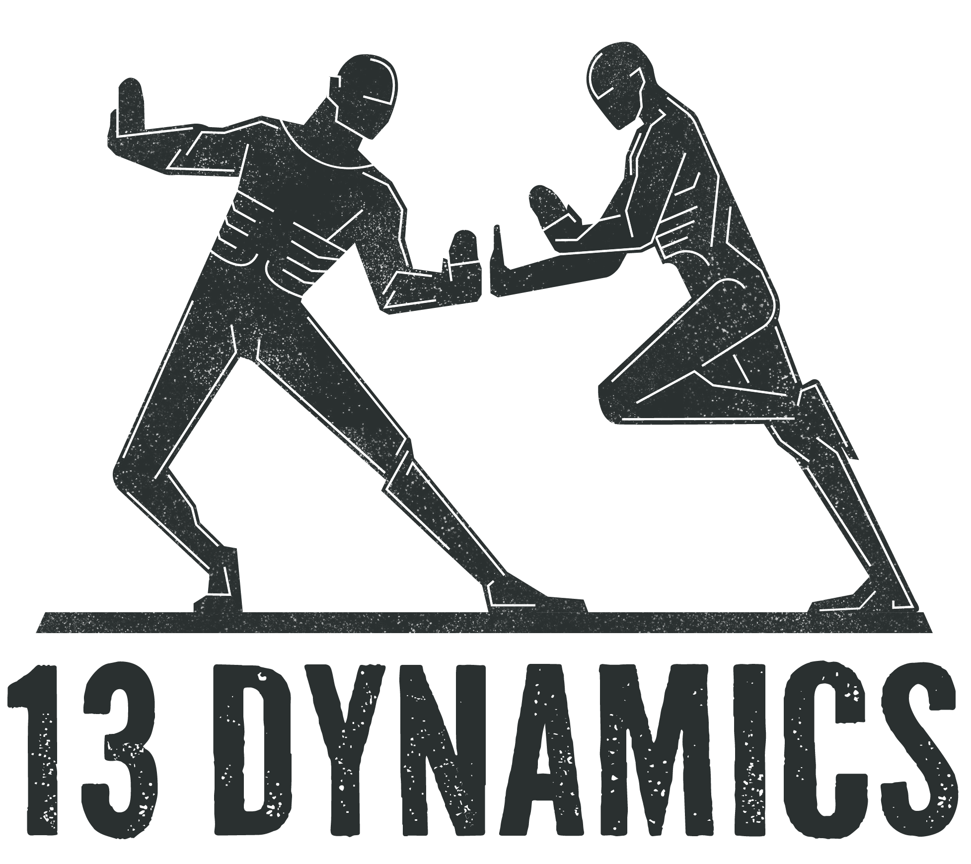 13 DYNAMICS