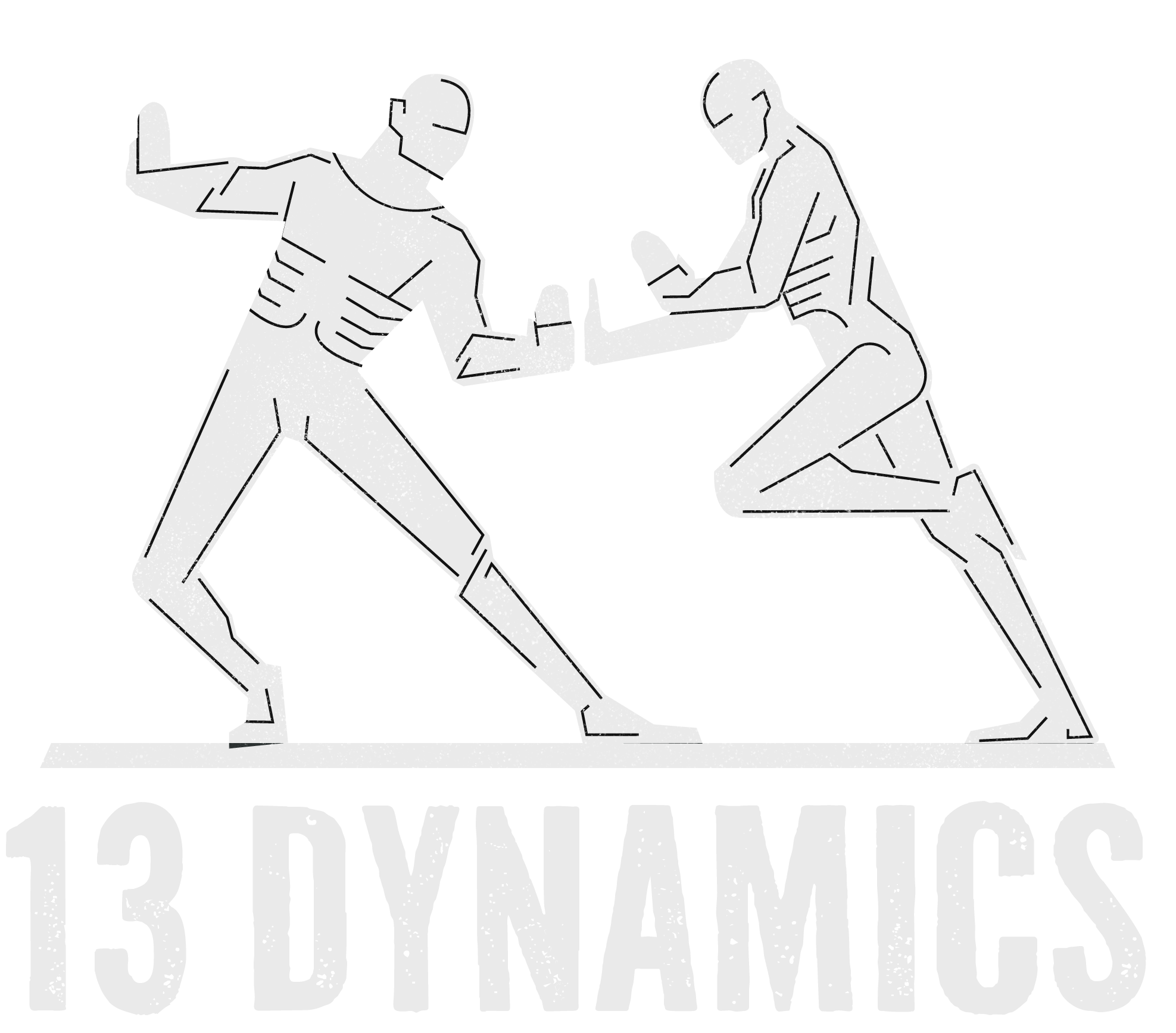 13 DYNAMICS